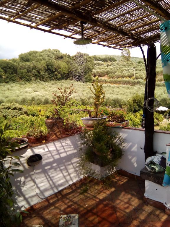 فيلا Masseria Sparano ياتّيباليا المظهر الخارجي الصورة