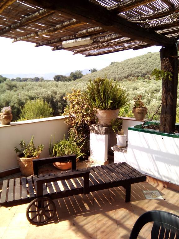 فيلا Masseria Sparano ياتّيباليا المظهر الخارجي الصورة