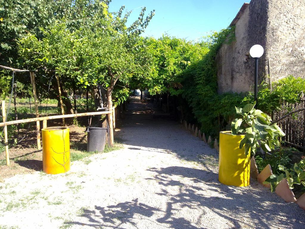 فيلا Masseria Sparano ياتّيباليا المظهر الخارجي الصورة
